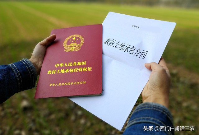 2025手机充电器口子种类，今年推荐5个手机三种接口叫什么