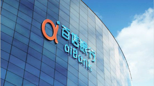 2026流浪日志大叔借钱，安利5个豆豆花有下款的